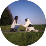 amélie clert propose une éducation canine bienveillante