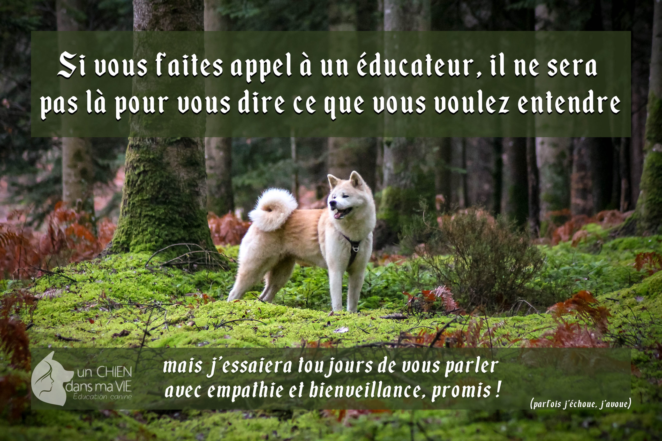 Un Educateur Ne Vous Dira Pas Ce Que Vous Voulez Entendre Un Chien Dans Ma Vie Educateur Canin Comportementaliste A Tours 37