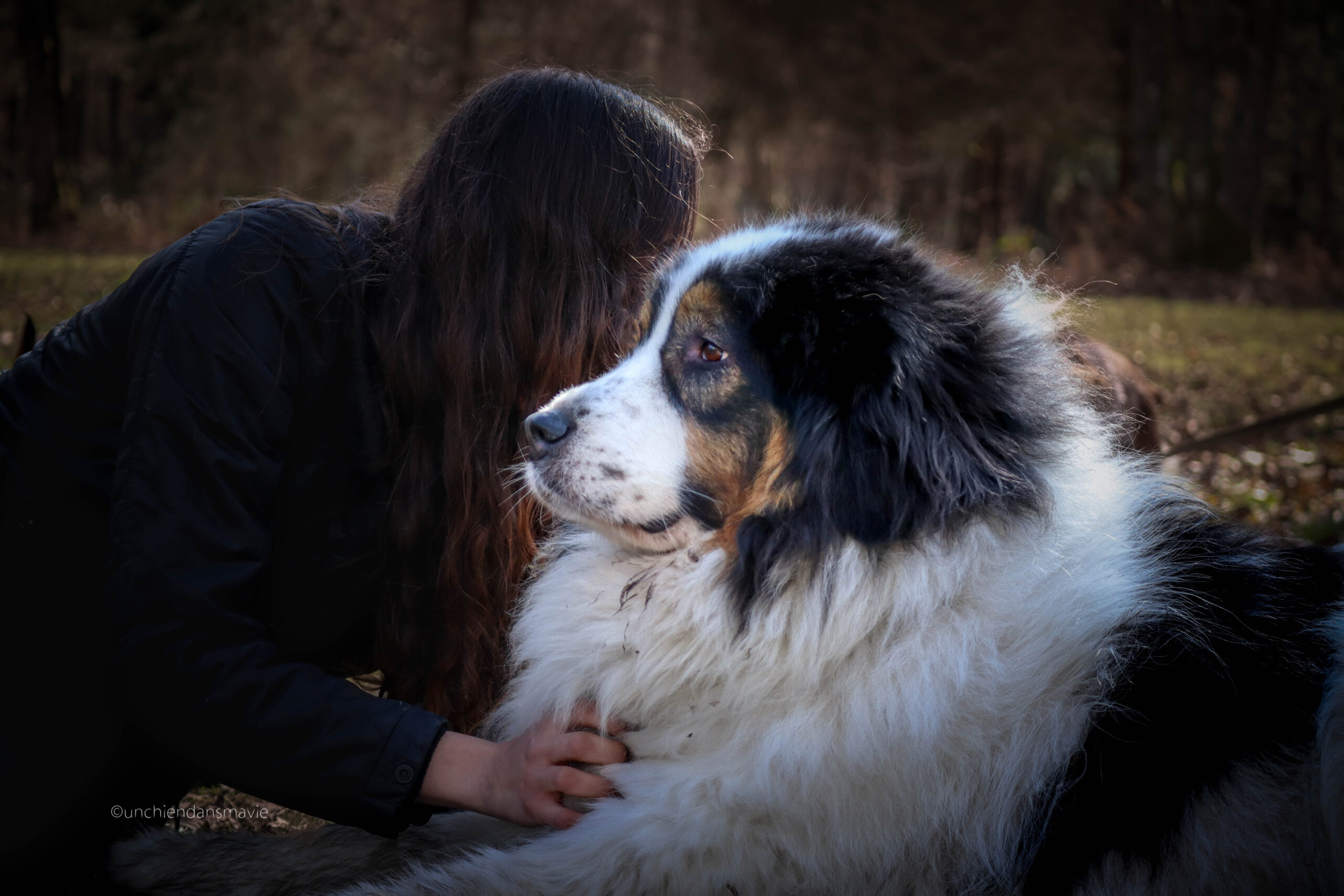 Il ne faut pas prendre un chien dans le but principal de faire une activité avec