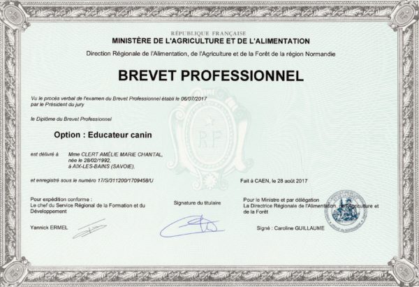 Diplôme BP Diplôme BP
