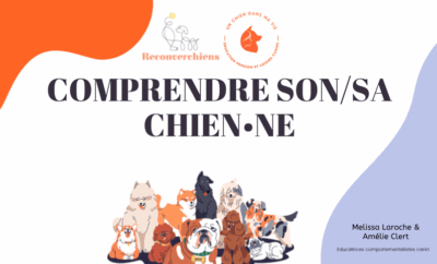 cours en ligne